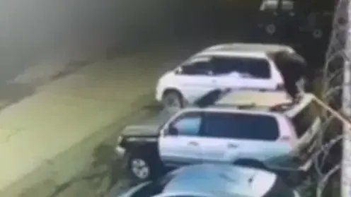 От медведя - на крышу, с крыши - на забор: житель Камчатки спасся от хищника акробатическим трюком