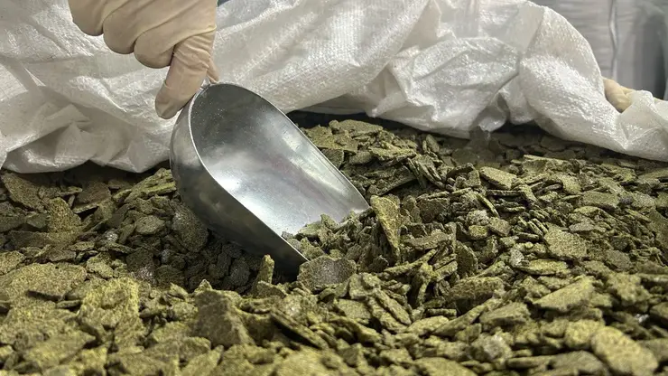 Из Красноярского края в Китай отправили больше пяти тысяч тонн рапсового жмыха