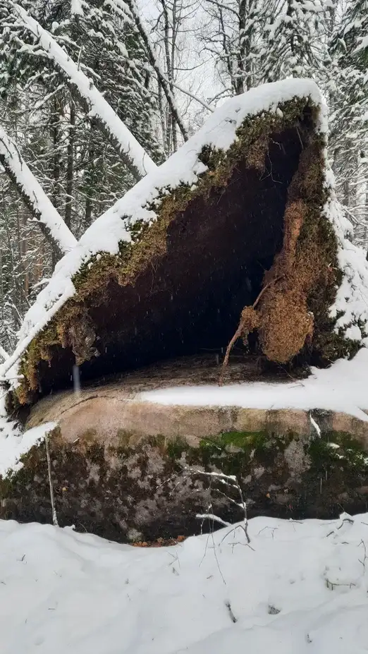 Фото: Ирина Якунина