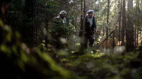 Полиция Кузбасса вторые сутки ищет шестерых пропавших грибников