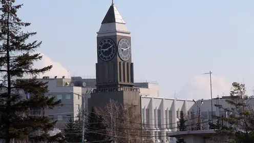 Названы самые медийные мэры сибирских столиц — лидеры из Новосибирска, Омска и Красноярска