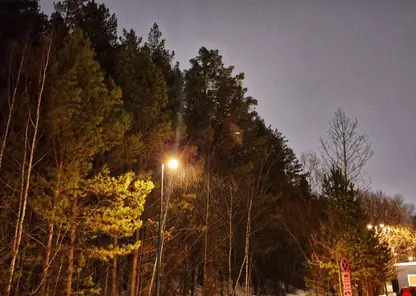 Тайна челябинского посёлка: 19-летнюю Елизавету Овчинникову нашли мёртвой спустя две недели поисков