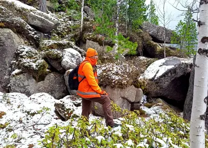 В поисках пропавшей в Красноярском крае семьи задействовали больше 1,5 тыс добровольцев
