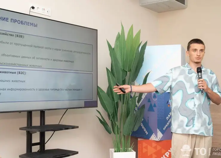 Томские выпускники получат по 200 тысяч рублей на стартапы