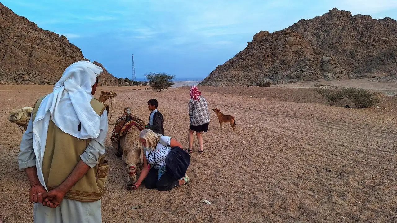 Фото: sibnovosti.ru