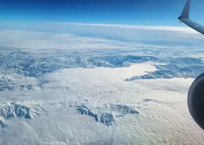 В Россию «завезена» лихорадка чикунгунья: туристка привезла вирус с Сейшел