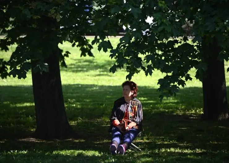 Мэр Омска поручил найти инвестора для парка 300-летия Омска