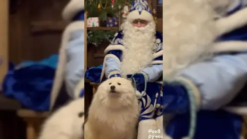 В Красноярске сегодня открывается Заимка Деда Мороза