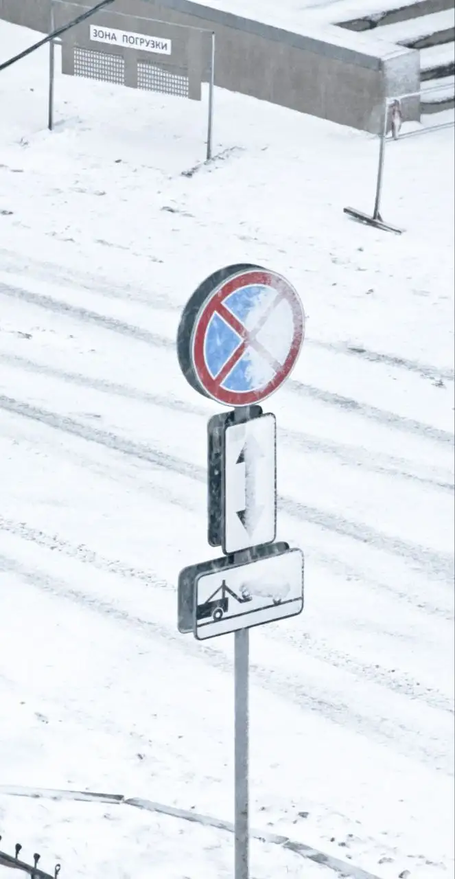 Фото: мэрия Красноярска