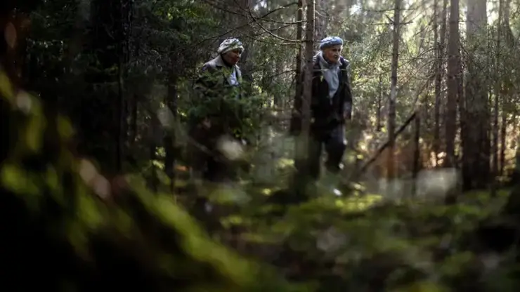 Полиция Кузбасса вторые сутки ищет шестерых пропавших грибников