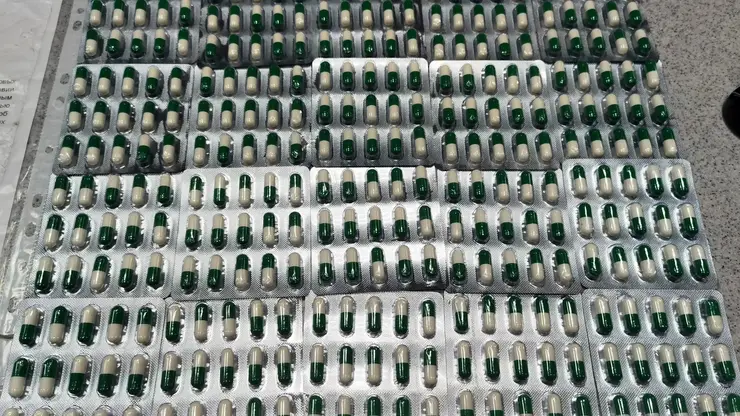 В Хакасии таможенники перехватили крупную партию лирики, прибывшей по почте из Индии