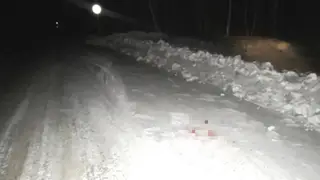 Жителя Красноярского края подозревают в незаконной охоте на двух косуль