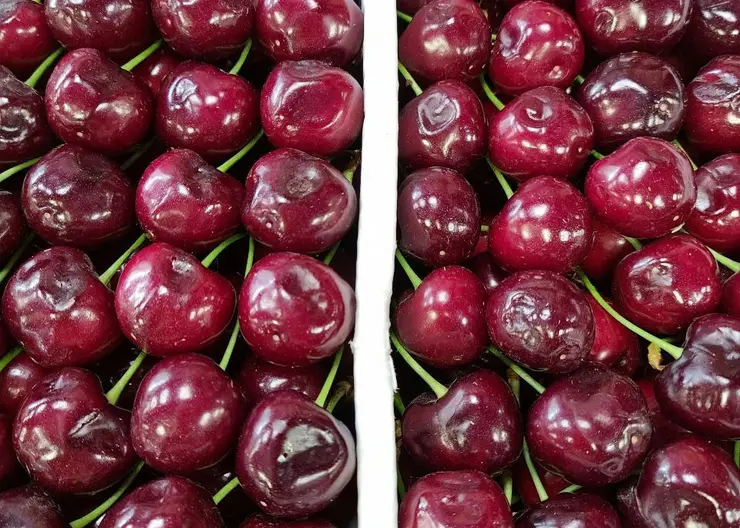 Роспотребнадзор Красноярского края поделился способами выбора черешни на уличных прилавках