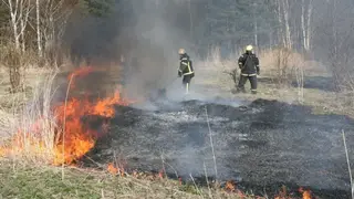 Почти пять тысяч гектаров сухой травы незаконно выжгли жители  края с начала года