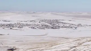 В Забайкалье введен режим ЧС из-за вспышки пастереллёза у скота В Забайкалье введен режим ЧС из-за вспышки пастереллёза у скота