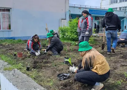 Красноярские волонтёры приняли участие в экологической акции «Зелёная волна»