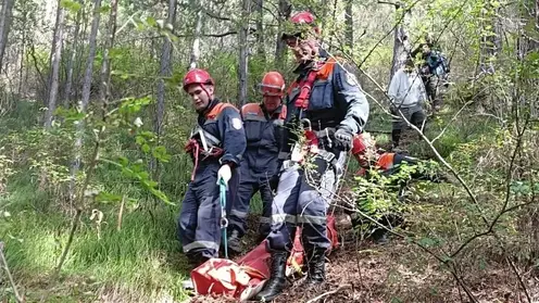 Девушка упала со скалы Ермак на  «Красноярских столбах». Ее пришлось эвакуировать