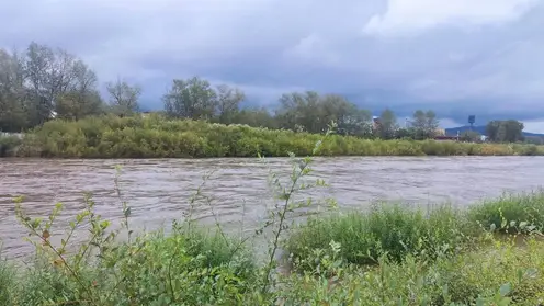 Чита уходит под воду: из-за затяжных дождей реки вышли из берегов