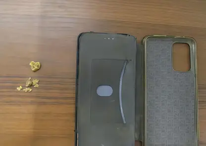 Красноярские таможенники изъяли у пассажира самородки золота