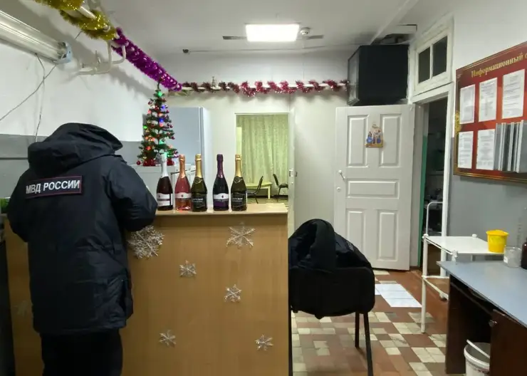 Медика уволили в Туве за продажу алкоголя в новогоднюю ночь