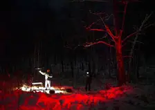 Тайга молчит: месяц с загадочного исчезновения семьи Усольцевых