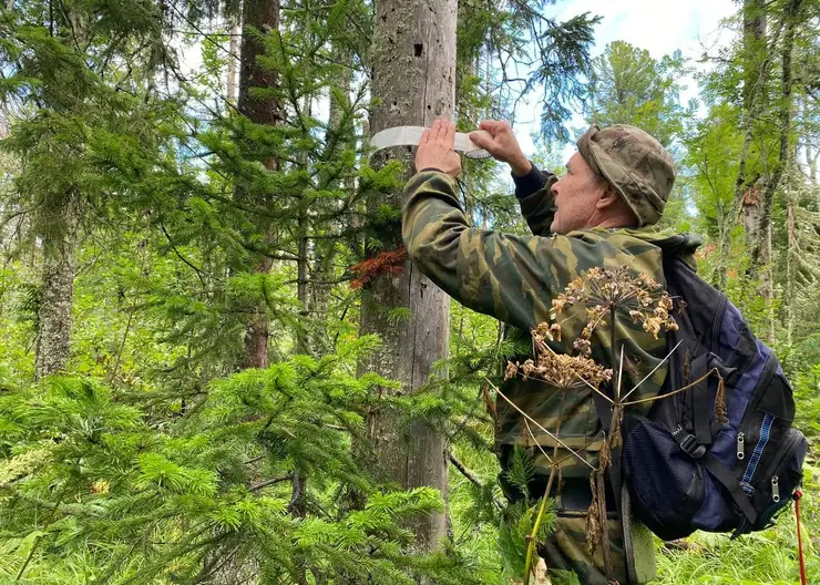На Мининских Столбах в Красноярском крае обновили маркировку