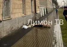 В Канске мужчина насмерть сорвался с четвертого этажа, когда спускался на простынях вниз (видео)