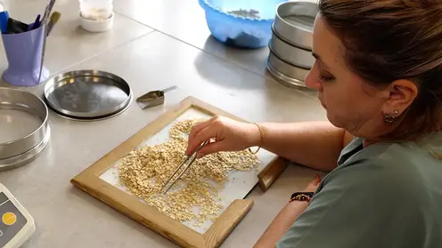 Специалисты рассказали, как выбрать полезные мюсли и хлопья