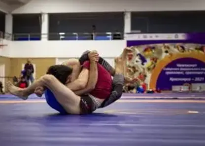 Спортсмены Красноярского края стали победителями и призёрами чемпионата России по грэпплингу