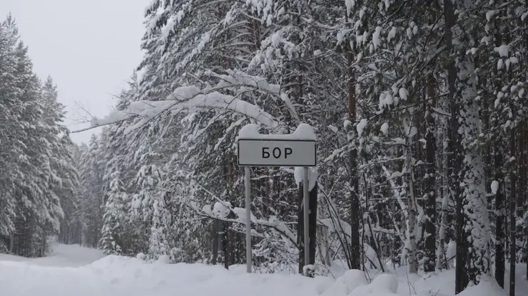 Высокоскоростной интернет протянули в северные села Красноярского края