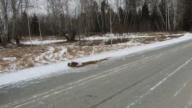 Мужчина выбросил большой пакет с наркотиком из окна машины во время погони в Красноярском крае
