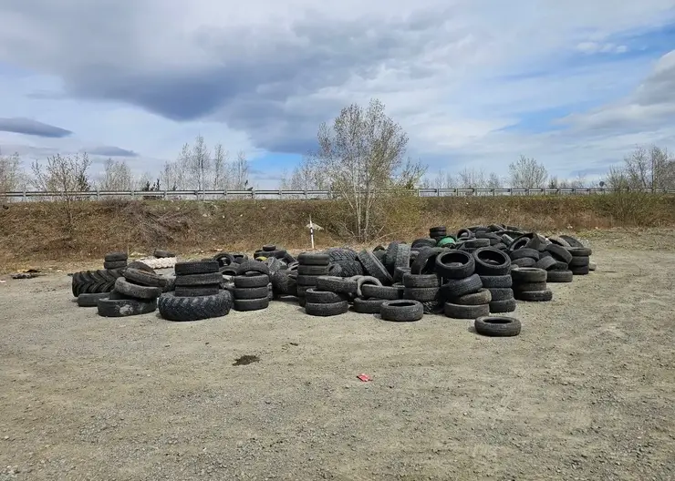 В районе Берёзовки под Красноярском обнаружили огромную свалку автомобильных шин