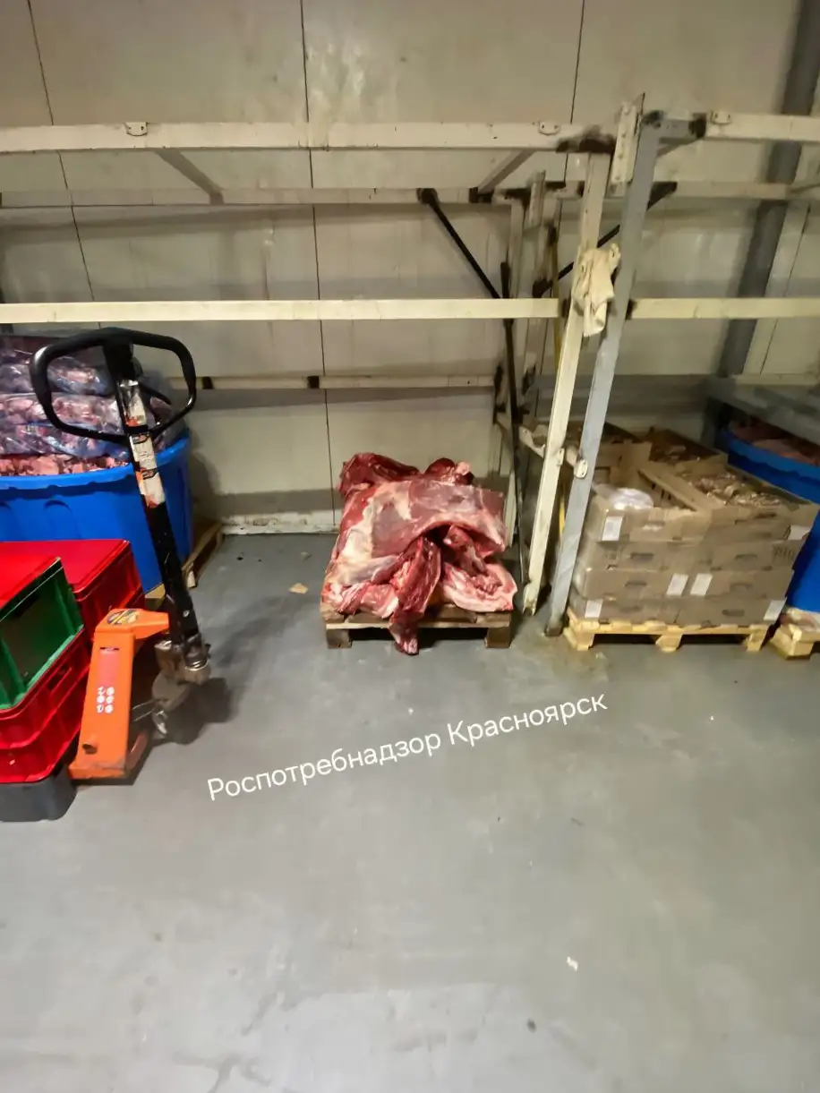 Фото: Telegram-канал «Роспотребнадзор Красноярск»