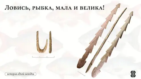 Снасти для ловли рыбы возрастом 10 тысяч лет показали красноярские археологи