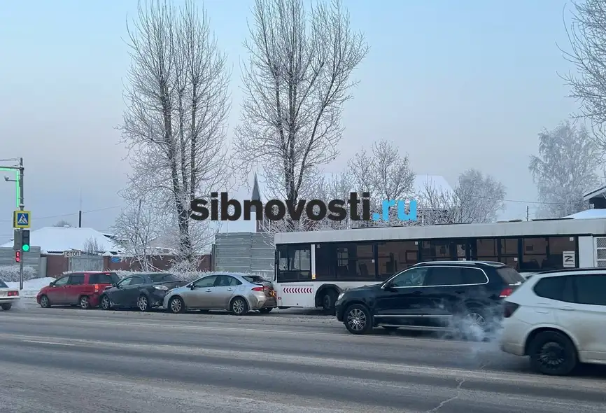 Фото: sibnovosti.ru