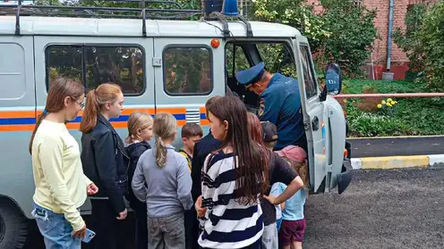 Залезшего на макушку высокого дерева мальчика спасли пожарные в Омске