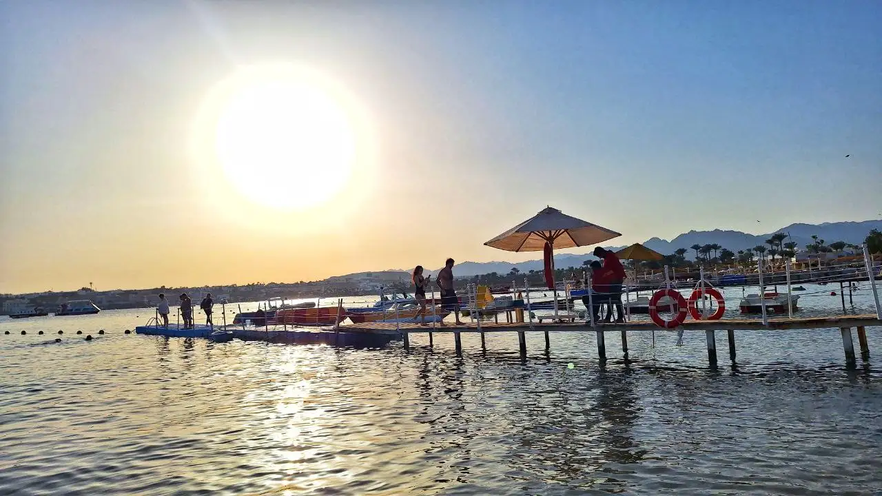 Фото: sibnovosti.ru