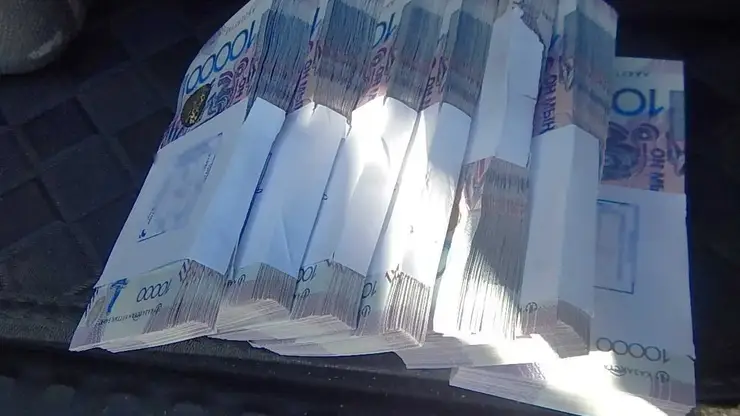 На Алтае иностранец хотел вывезти 7 млн тенге в Монголию