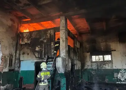 Шесть пожаров ликвидировали в Красноярском крае за сутки: погибших нет