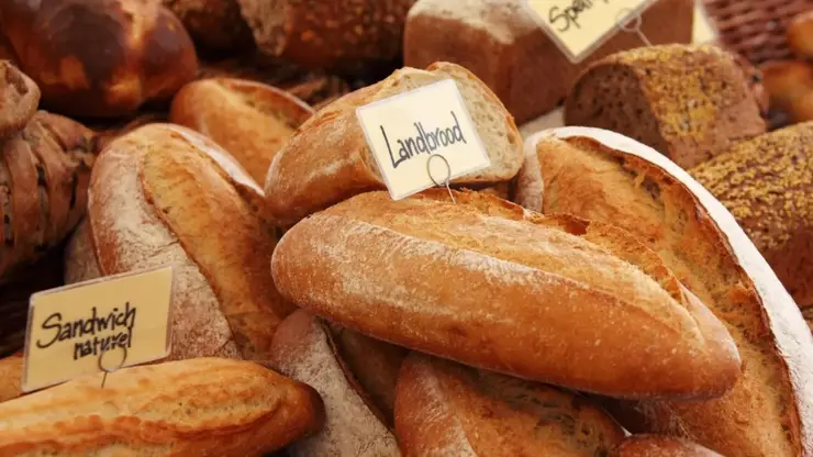 Проект пекарни в Красноярске: оснащение и обустройство