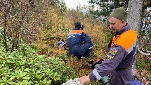 Рамзан Кадыров взял на контроль поиски пропавшего в парке «Ергаки» туриста