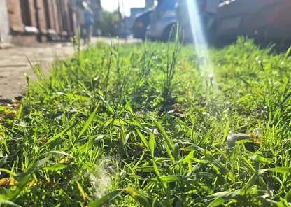 МЧС предупреждает: жара до +35°С и выше накроет Красняорский край 14 июня