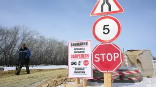 Карантин по бешенству ввели в Емельяновском муниципальном округе Красноярского края