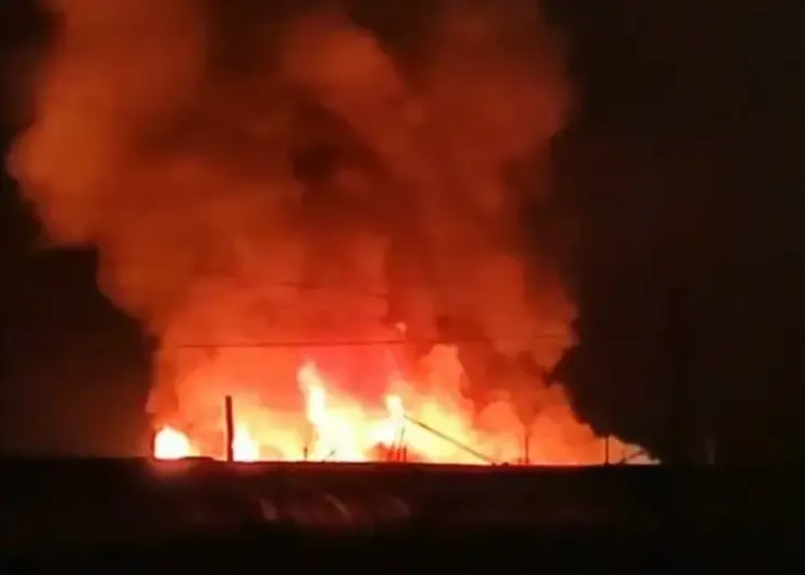 Крупный свинокомплекс с 1200 животными внутри сгорел в ночном пожаре в Забайкалье