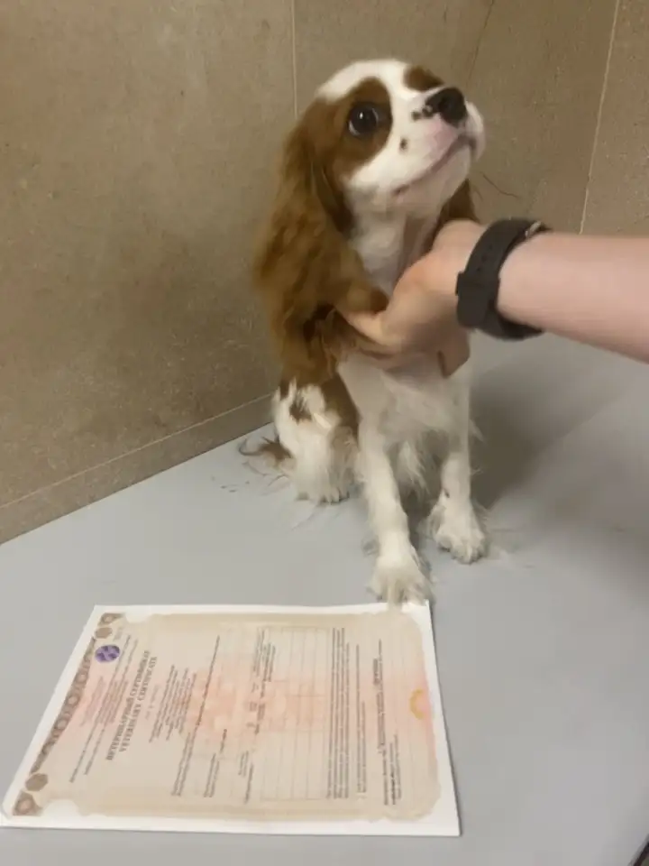 Фото: Россельхознадзор по Красноярскому краю