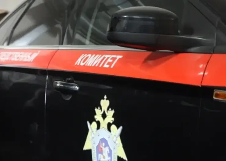 В Приморье женщина подозревается в покушении на убийство своего трехлетнего сына