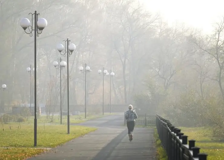 Минэкологии Красноярского края требует запретить эксплуатировать котельную электровагоноремонтного завода