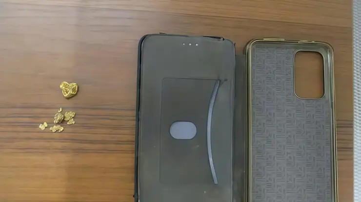 Красноярские таможенники изъяли у пассажира самородки золота