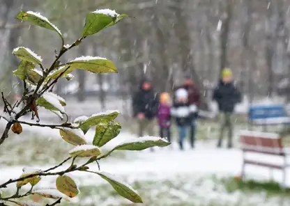 Первая неделя ноября в Красноярске будет прохладной и снежной