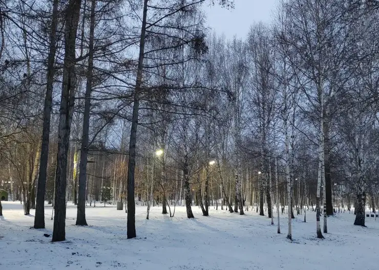 Выходные в Красноярске: ветрено и снежно